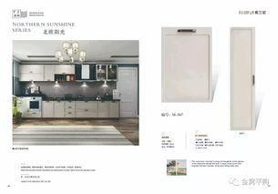 索蘭尼整房定制家具電子畫冊與物聯(lián)網(wǎng)技術(shù)研發(fā) 創(chuàng)新融合的未來家居體驗(yàn)